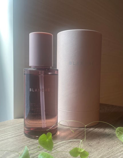LOA THE OIL "CARE" BLANCHE/LOA The Oil/洗い流すヘアトリートメントを使ったクチコミ(2枚目)