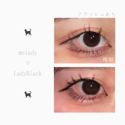 melady 1day レディブラック/melady/ワンデー(1DAY)カラコンの画像