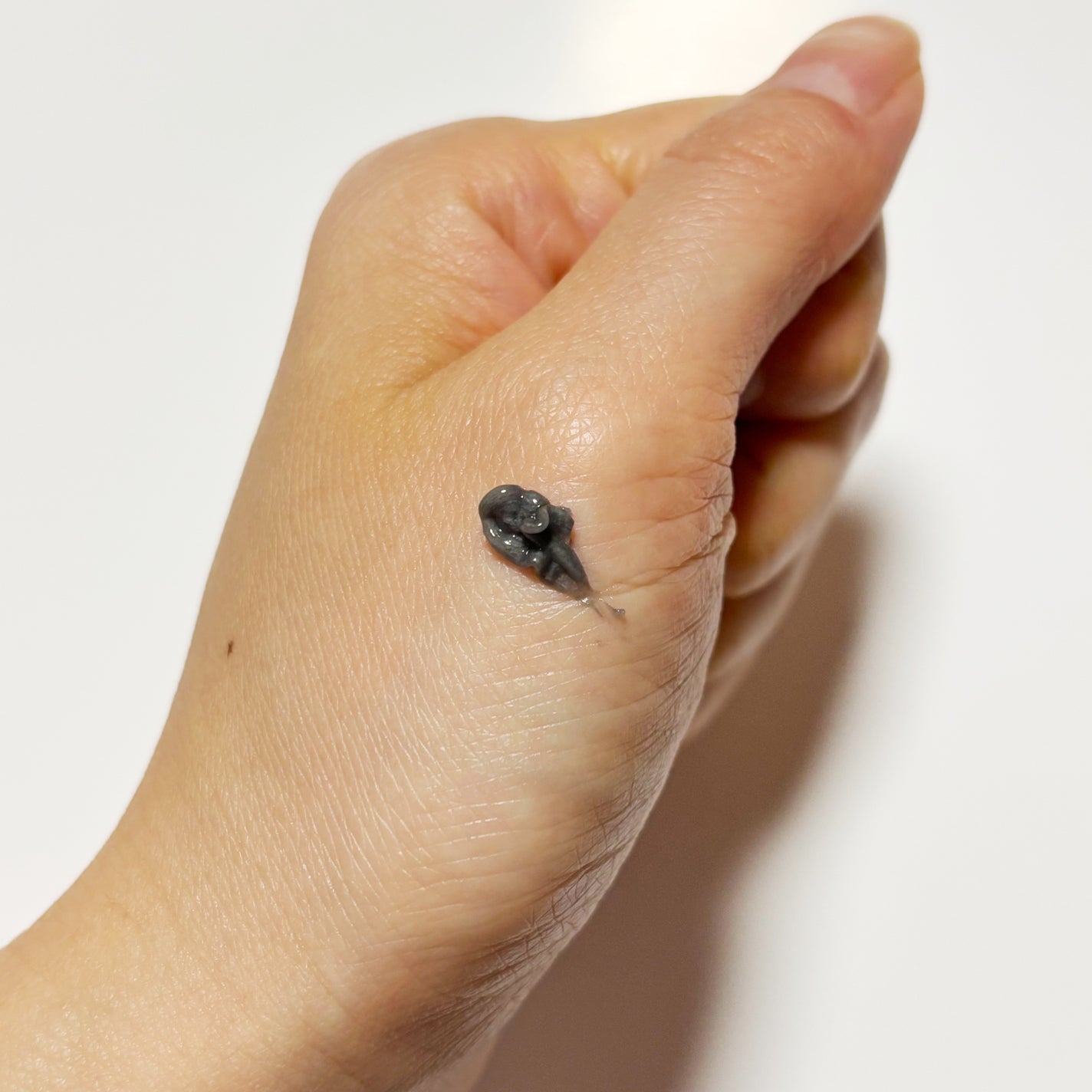 ポアクリア スクラブ ウォッシュ/ONE BY KOSE/洗顔フォームを使ったクチコミ(2枚目)