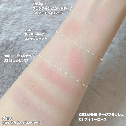 ブラーフィニシュブラッシャー/Dinto/パウダーチークを使ったクチコミ(5枚目)