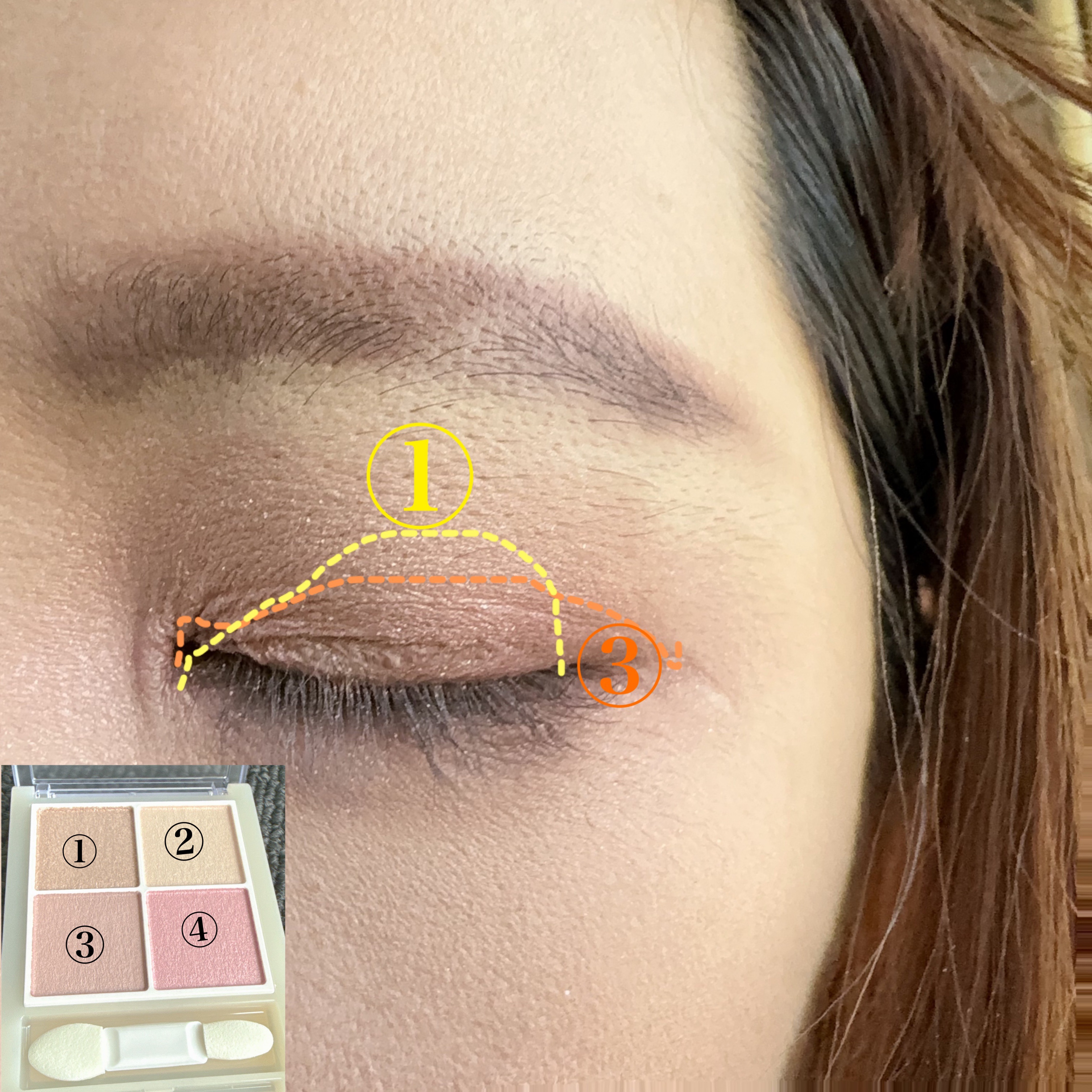 ペールトーンアイシャドウ/CEZANNE/アイシャドウを使ったクチコミ（3枚目）