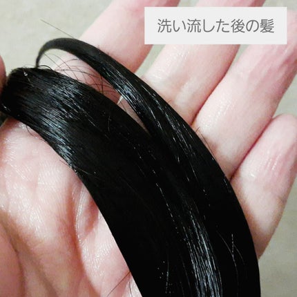 プルント ディープリペア ペアセット アイシークリスタル/Purunt./シャンプー・コンディショナーを使ったクチコミ(4枚目)