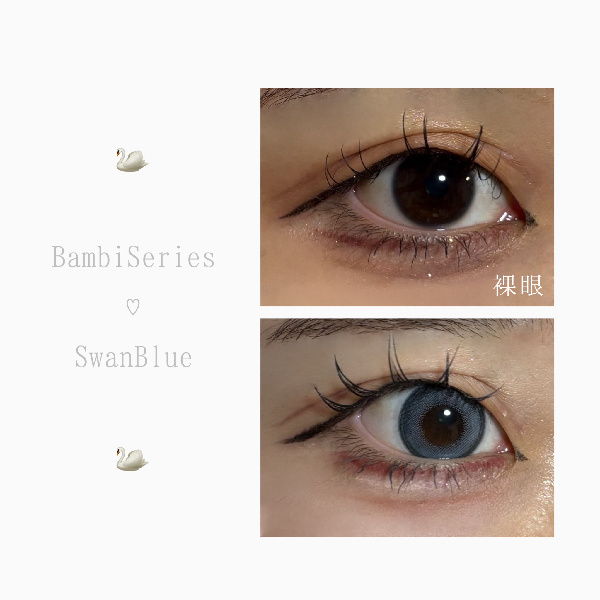 Angelcolor Bambi Series 1day /AngelColor/ワンデー（１DAY）カラコンを使ったクチコミ（3枚目）