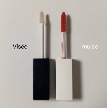 エッセンス リッププランパー/Visée/リッププランパーを使ったクチコミ(3枚目)