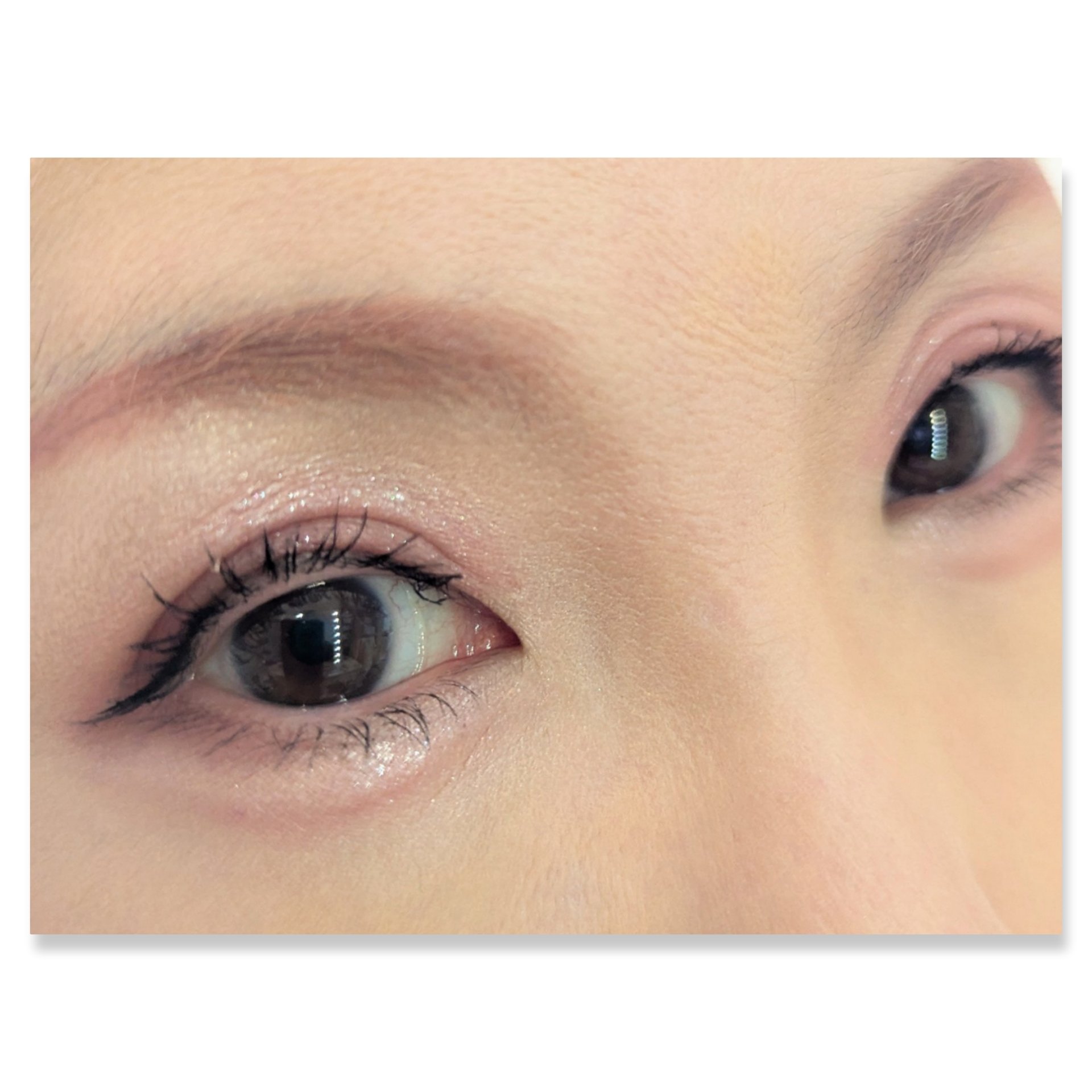 ジュエリーシャドウベール/キャンメイク/アイシャドウパレットを使ったクチコミ（2枚目）