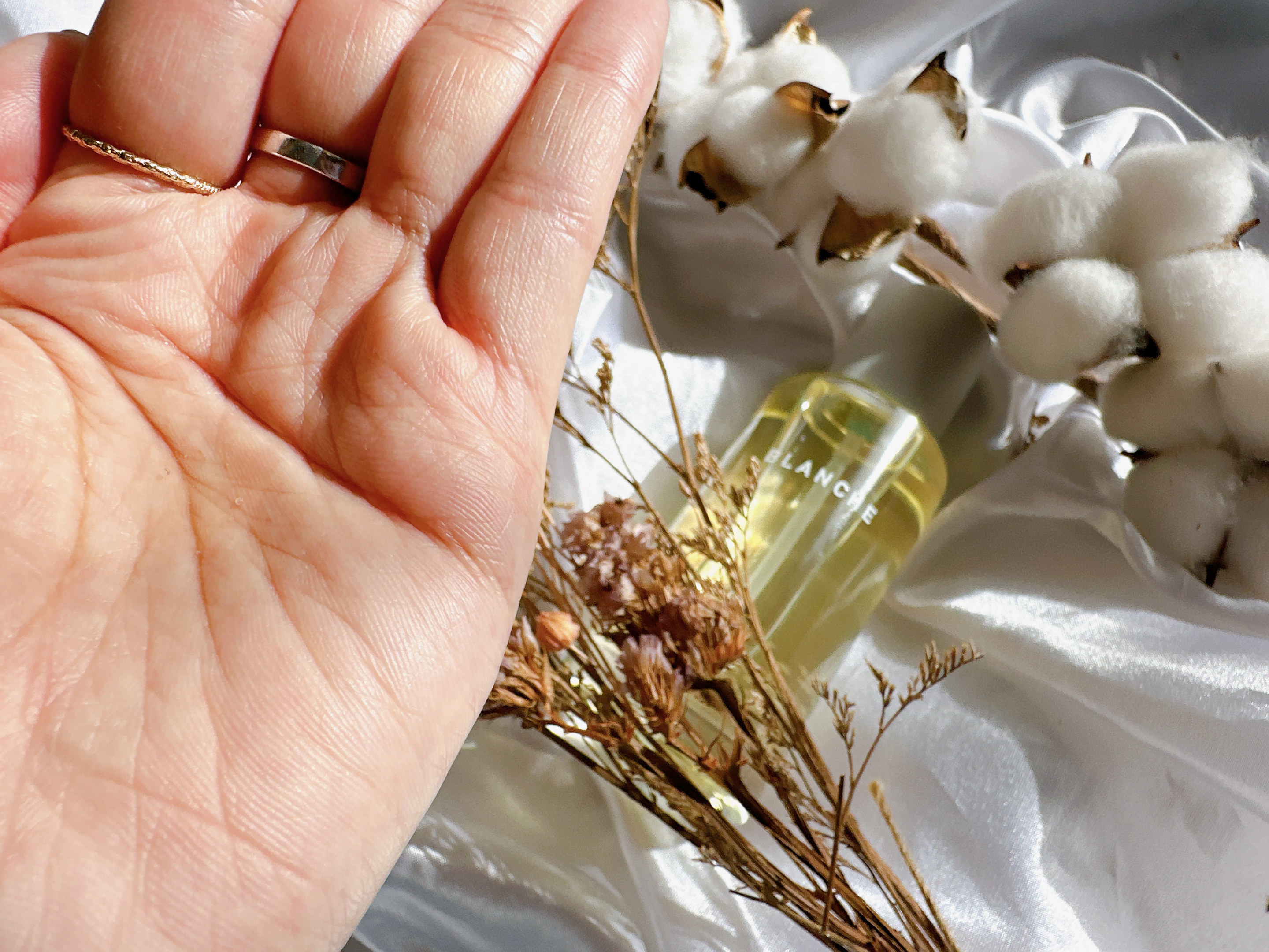 LOA The Oil LOA THE OIL "CARE" BLANCHEのクチコミ「✔︎ LOA THE OIL BLANCHE
⁡
某有名香水と同じ香りのヘアオイル🌼
⁡
髪の.....」（2枚目）