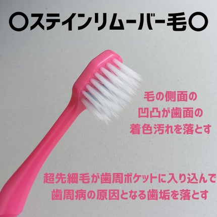 プレミアムケア ハブラシ 美白6列レギュラー/エビス/歯ブラシを使ったクチコミ(4枚目)