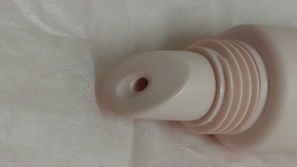 メロウデューリップエッセンス/キャンメイク/リップケアを使ったクチコミ(2枚目)