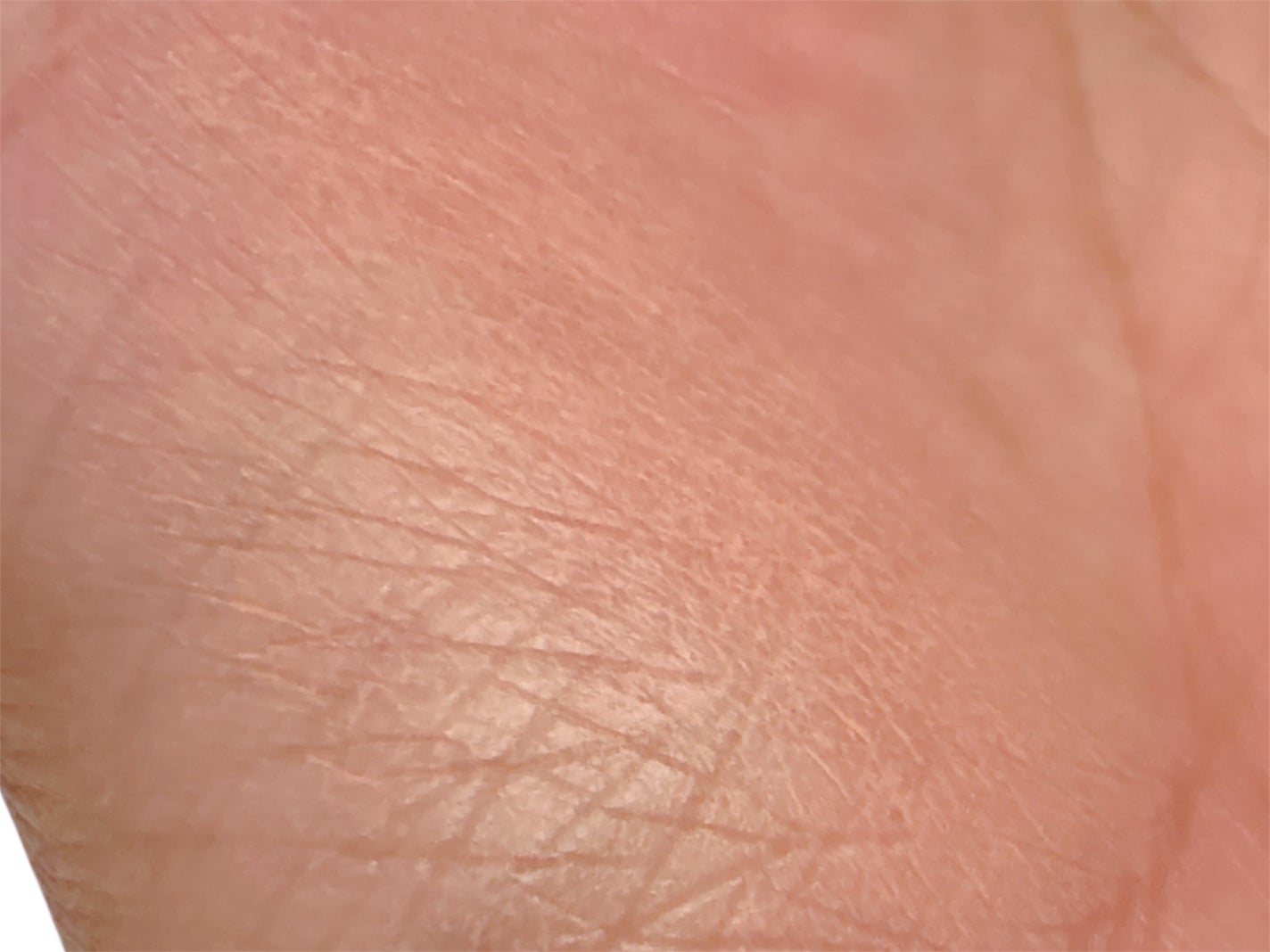 ネーミング フラッフィーパウダーブラッシュ/NAMING./パウダーチークを使ったクチコミ(5枚目)