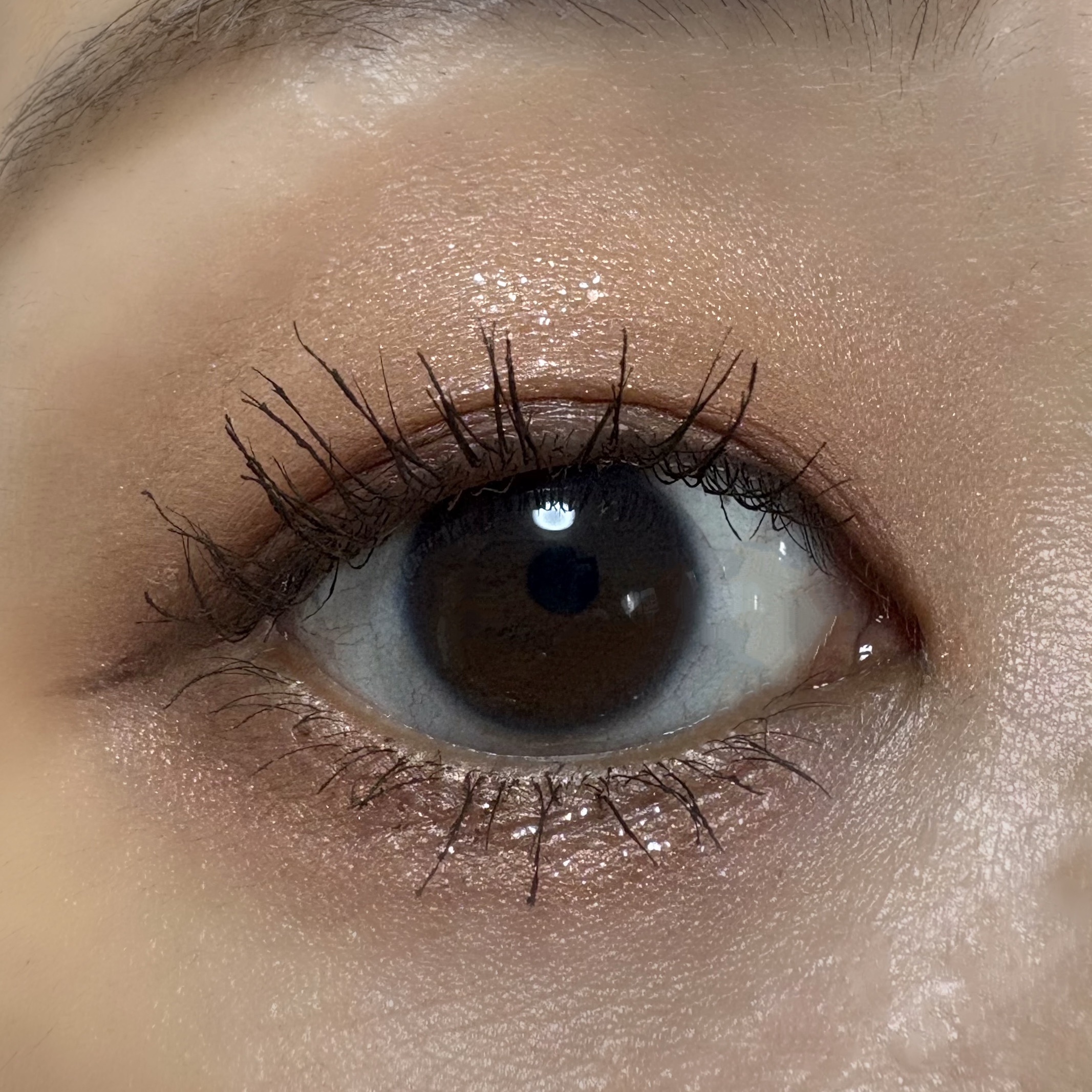 アイカラーレーション/LUNASOL/アイシャドウパレットを使ったクチコミ（3枚目）