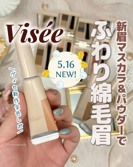 フラッフデザイン アイブロウカラー/Visée/眉マスカラを使ったクチコミ(1枚目)