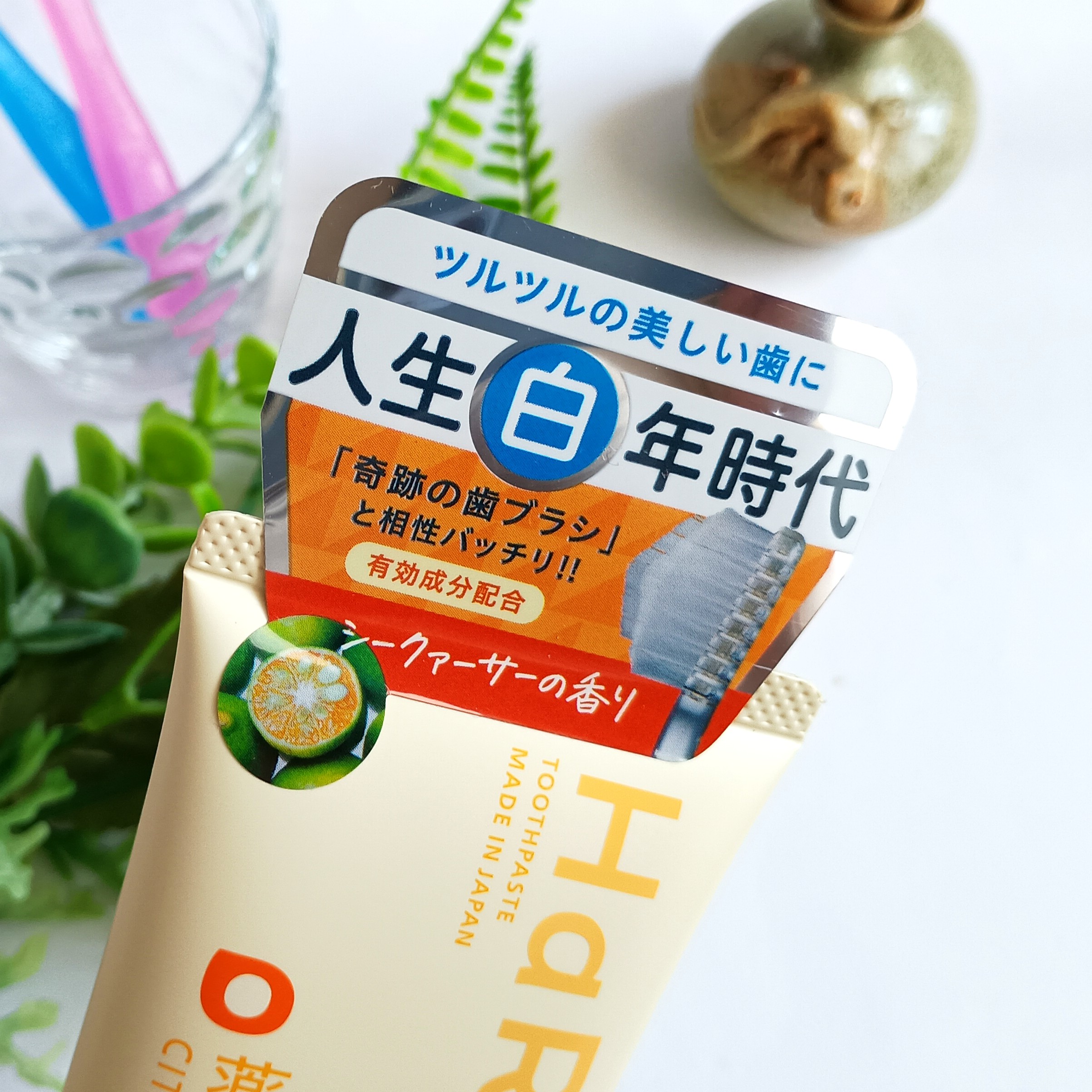 HaRENO 薬用ハミガキ/HaRENO/歯磨き粉を使ったクチコミ（1枚目）