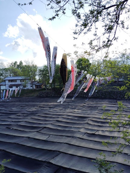 ニコニコにゃー on LIPS 「安曇野の大人気観光スポット✨【大王わさび農場】入場料無料なのよ..」(6枚目)