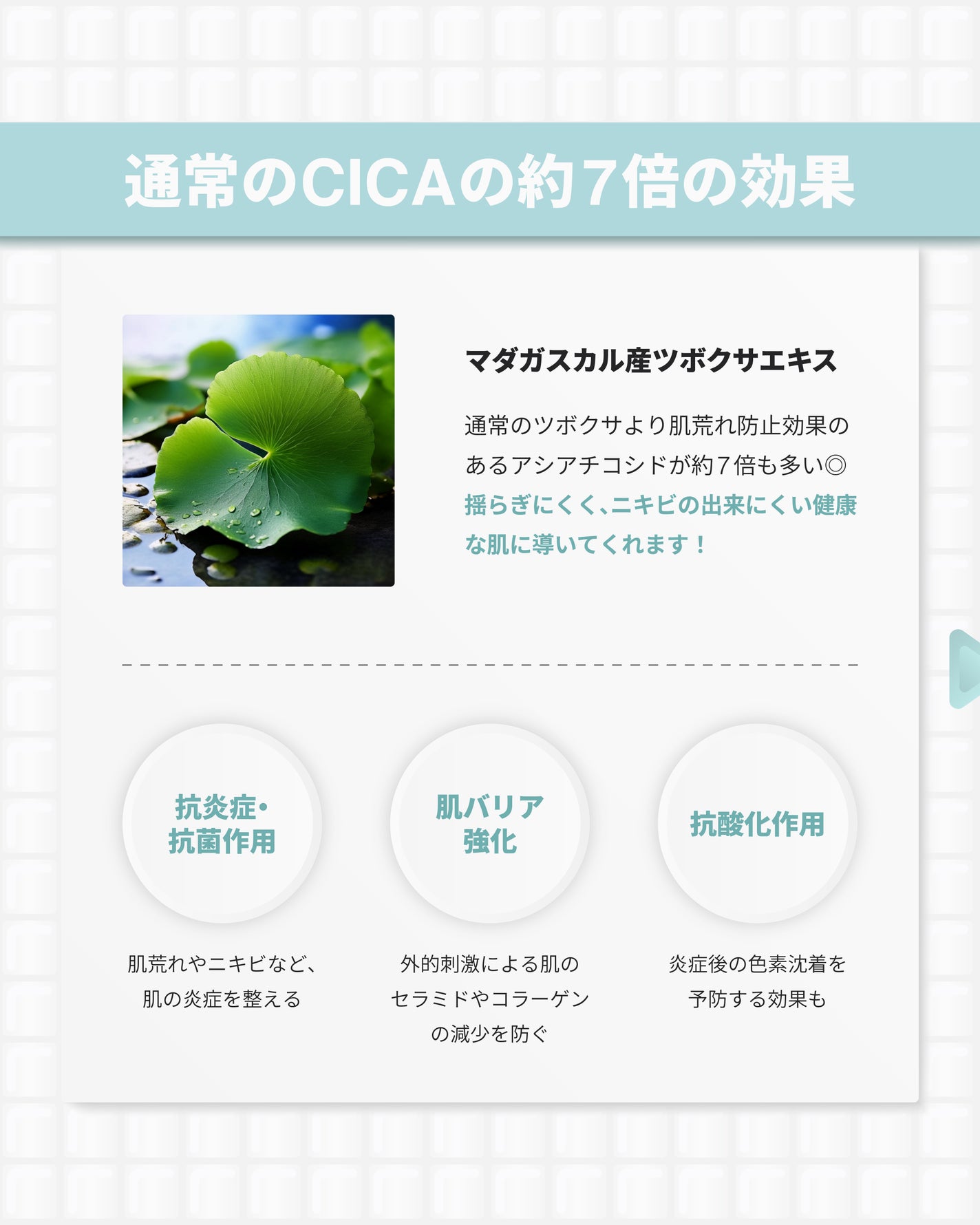 センテラ クリーム/SKIN1004/フェイスクリームを使ったクチコミ(3枚目)