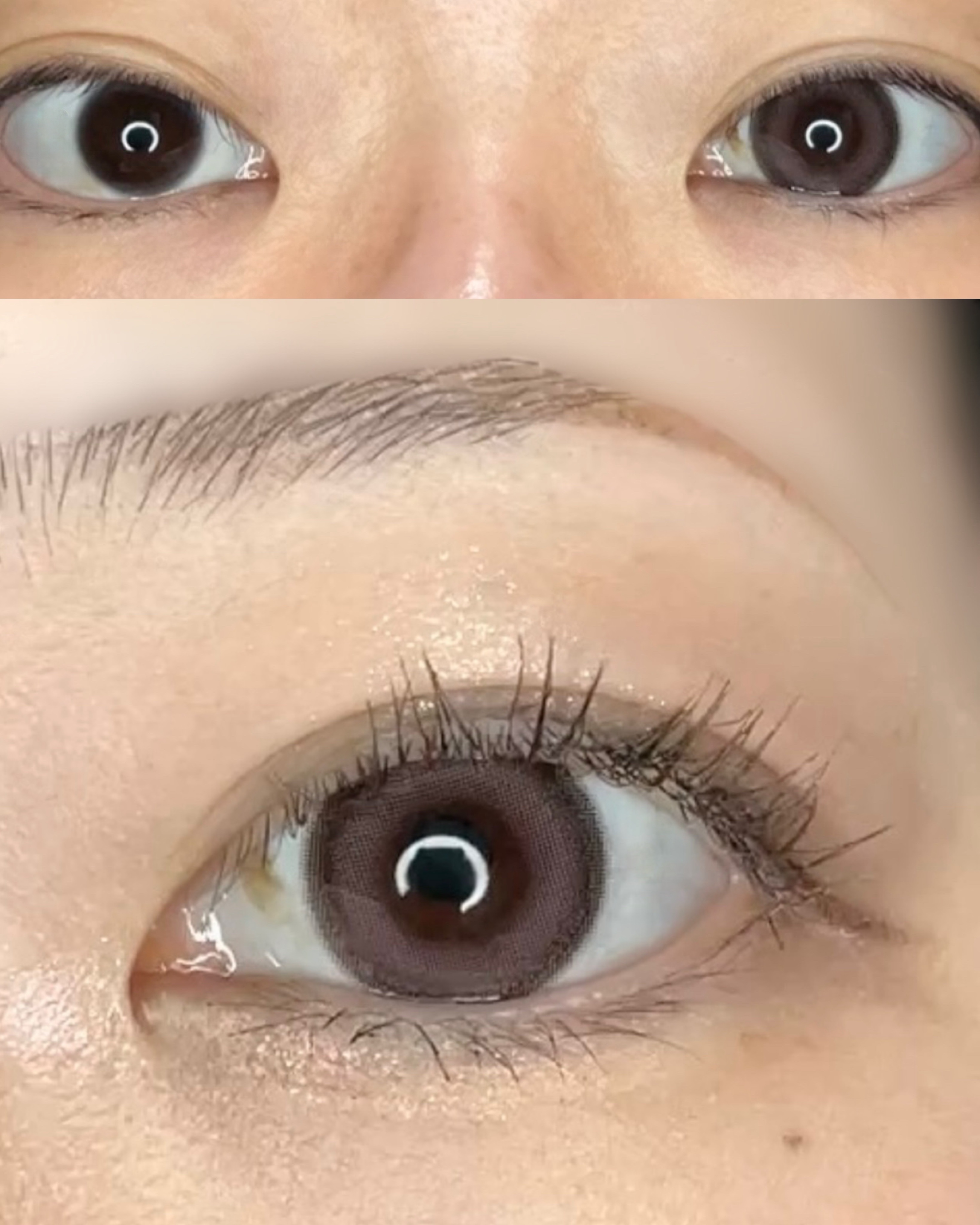 Charton 1day/Charton/ワンデー（１DAY）カラコンを使ったクチコミ（2枚目）