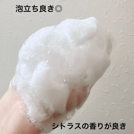 サニーサワー オールウォッシュ/IGNIS/ボディソープを使ったクチコミ(4枚目)