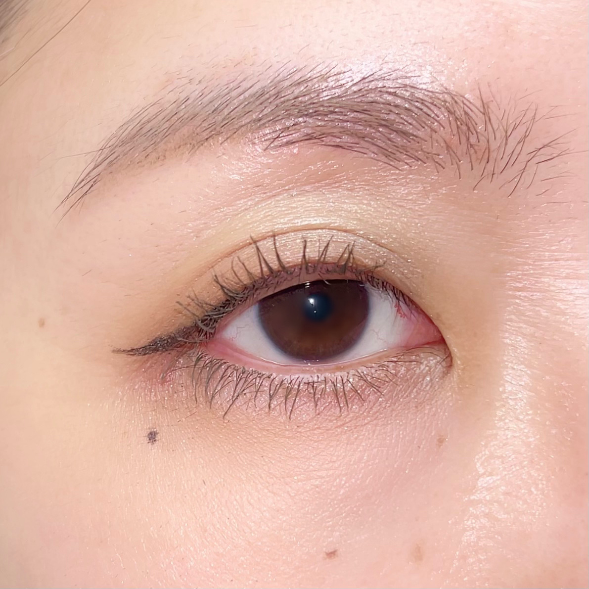 ムードインハンサーマット /hince/口紅を使ったクチコミ（3枚目）