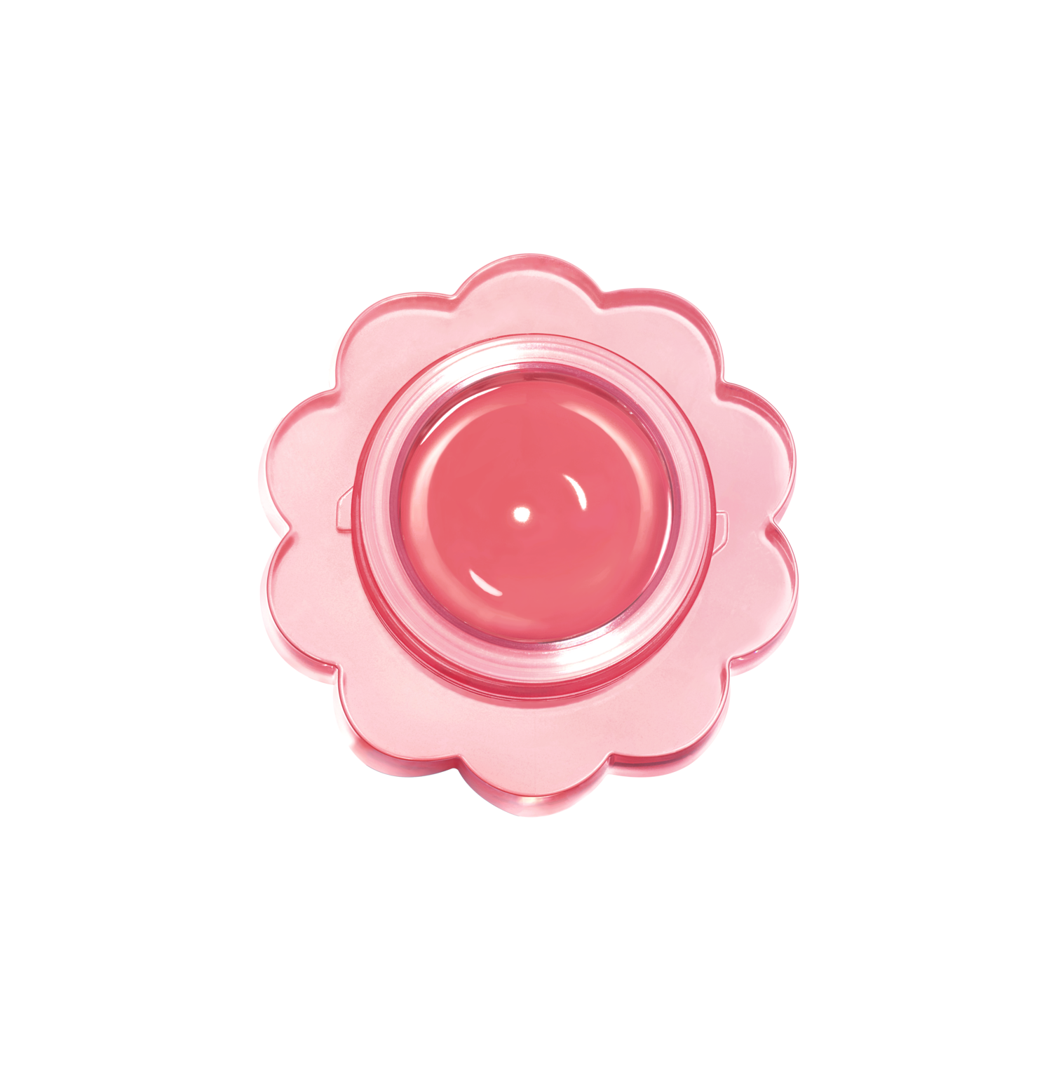 dasique チューインググロウポット まとめ売り チューインググロウポット | 07 グローイングロージー dasique | LIPS