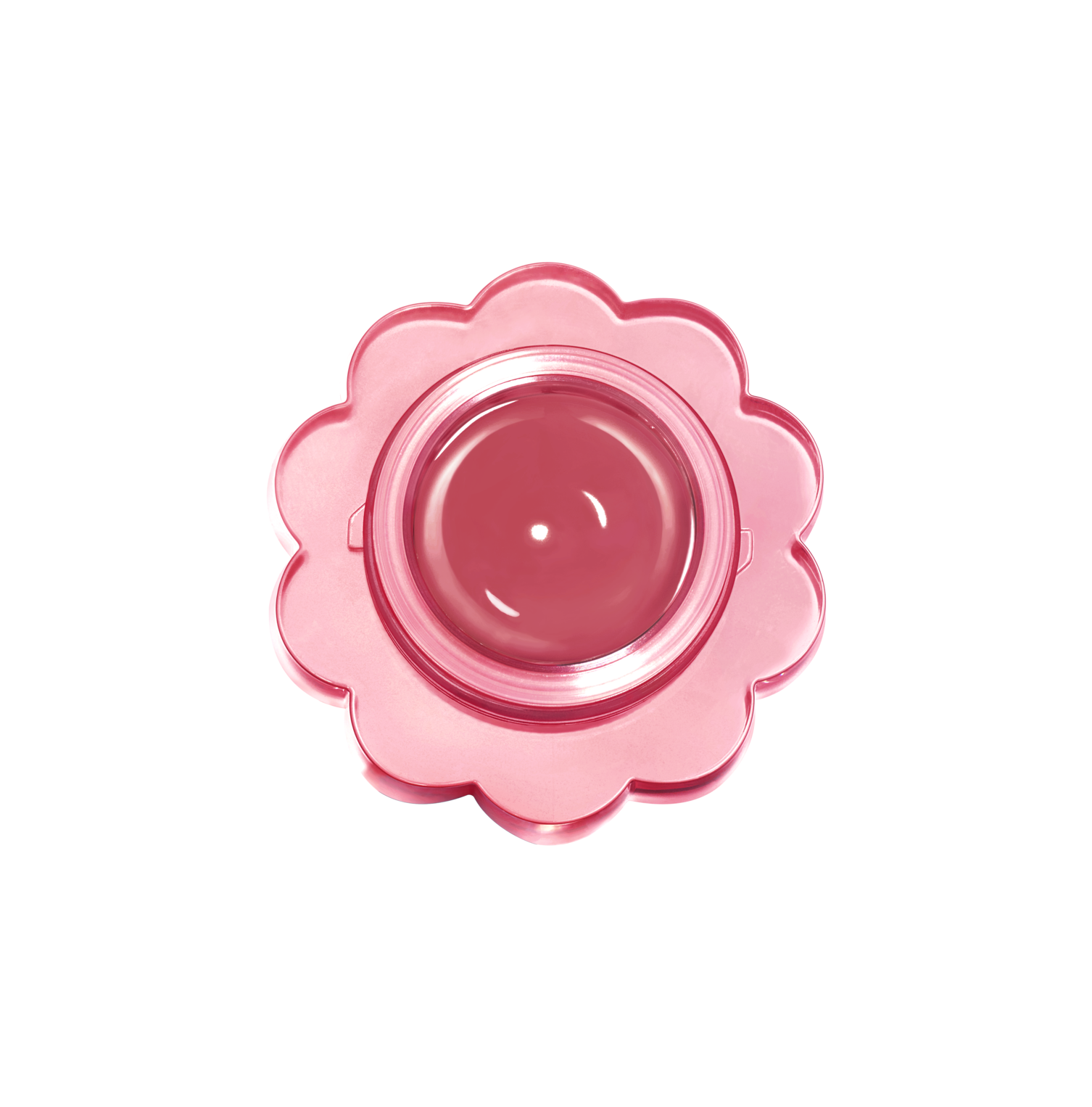 デイジーク　チューインググロウポット　おまとめ　19点 Qoo10] デイジーク チューインググロウポット (全20色)