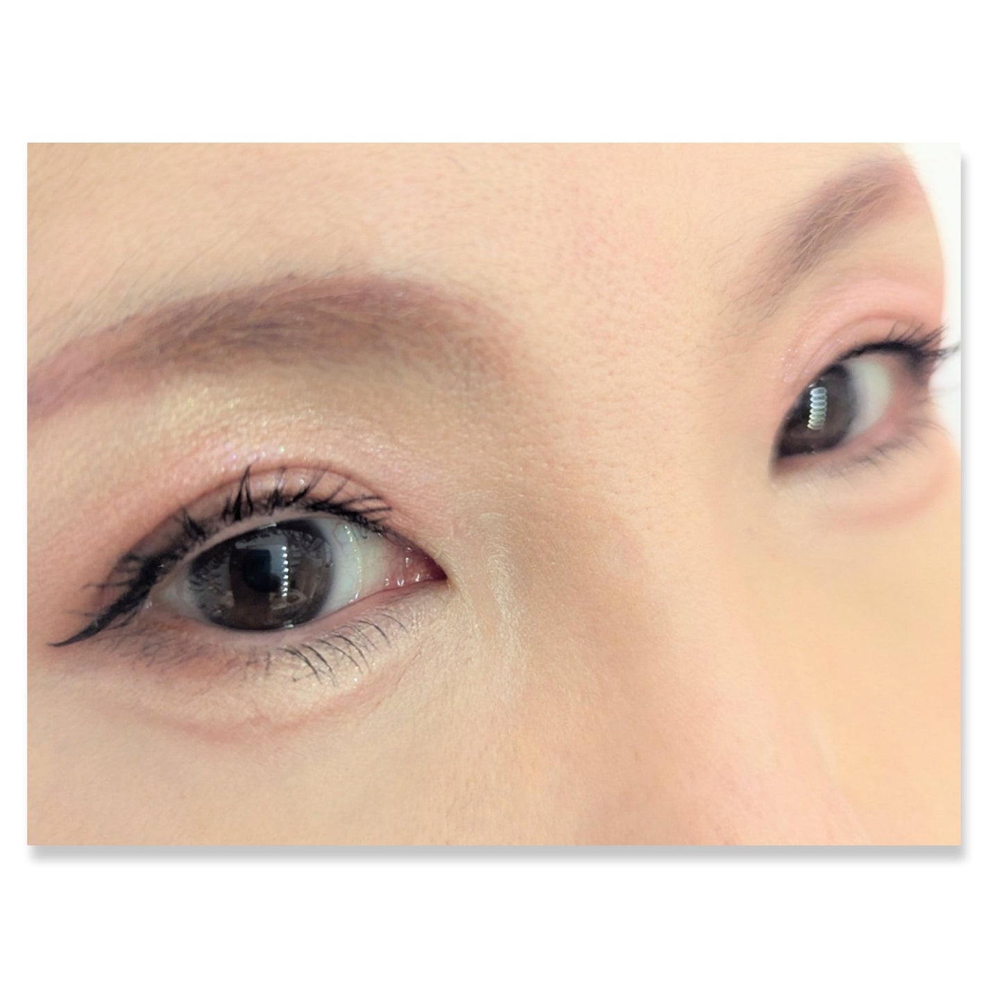 ロイヤルヴィンテージ アイズ/リンメル ロンドン/アイシャドウパレットを使ったクチコミ(2枚目)