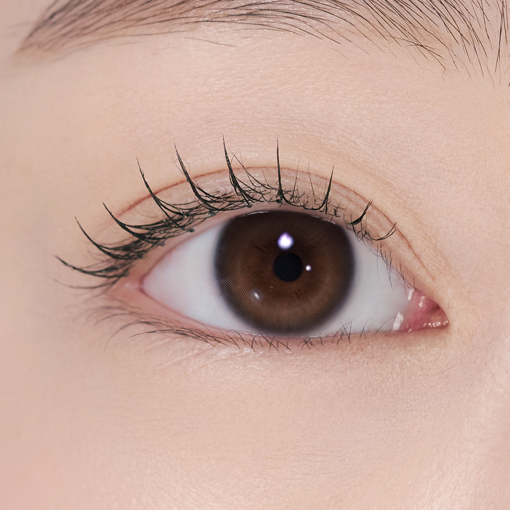 Eesle 1day スンスブラウン