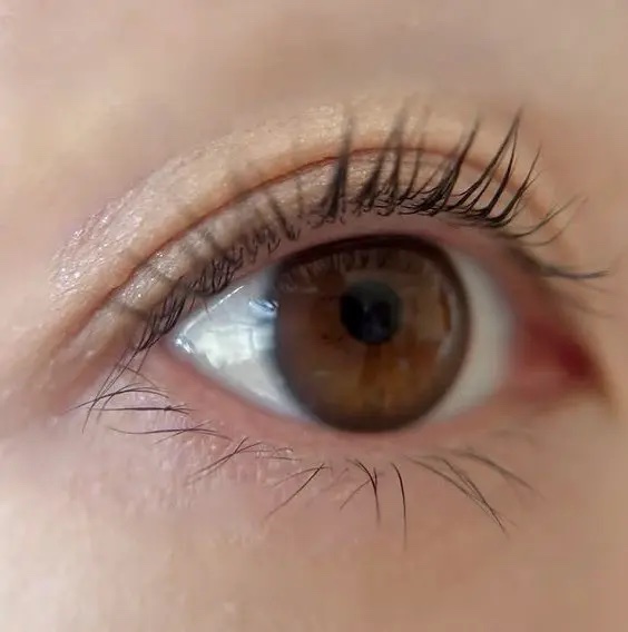 エテュセ アイエディション (マスカラベース)/ettusais/マスカラ下地を使ったクチコミ（3枚目）