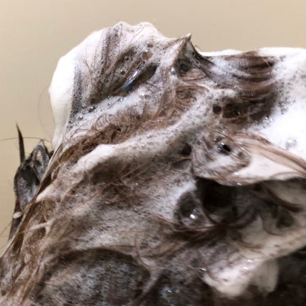 プルント ディープリペア ペアセット アイシークリスタル/Purunt./シャンプー・コンディショナーを使ったクチコミ(3枚目)