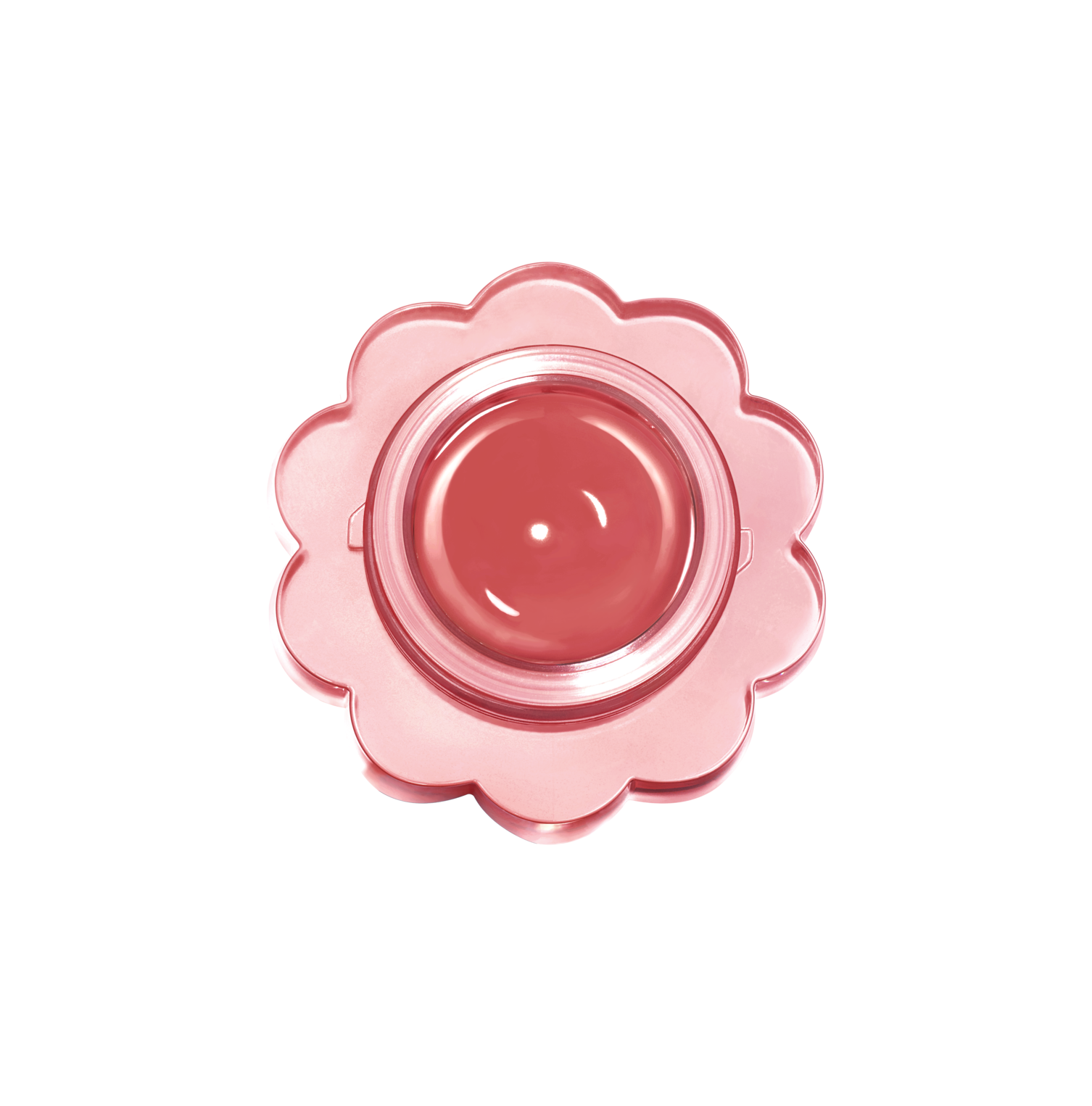 チューインググロウポット | 18 ジュジュブキャンディ dasique | LIPS