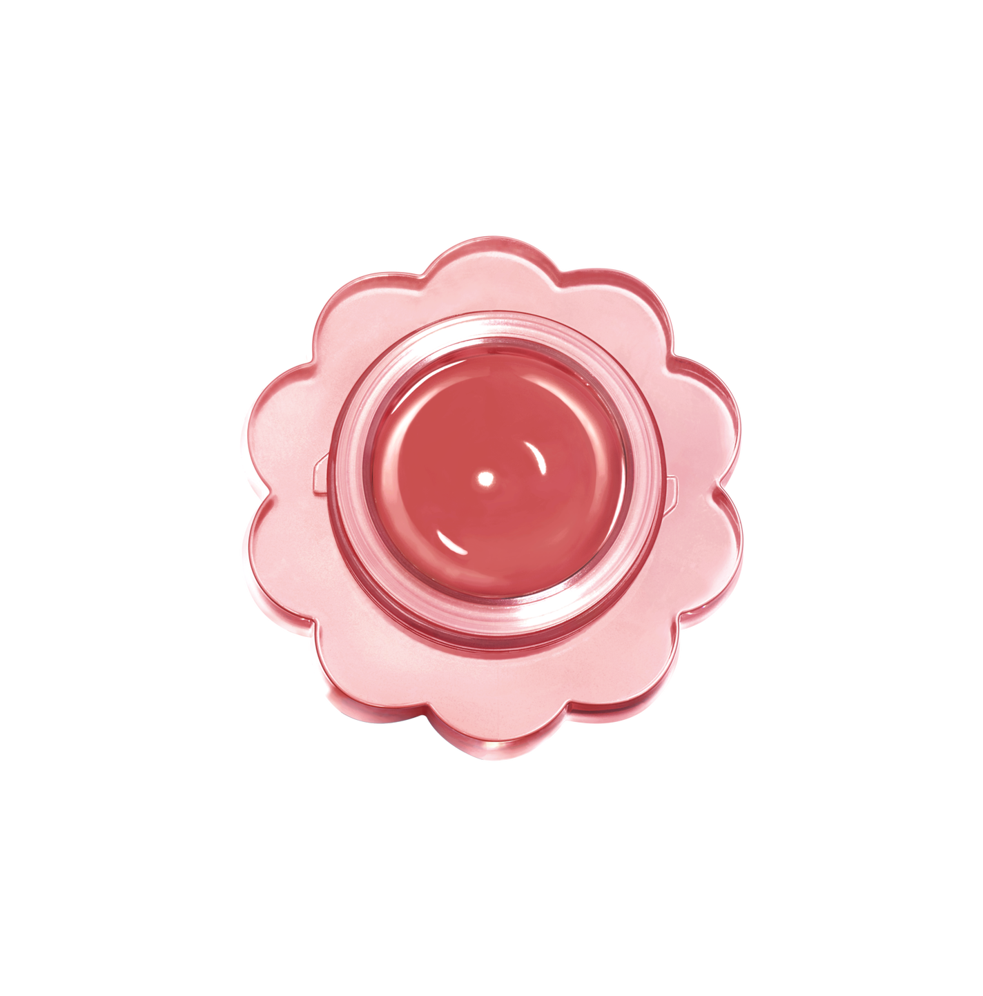 チューインググロウポット 18 ジュジュブキャンディ