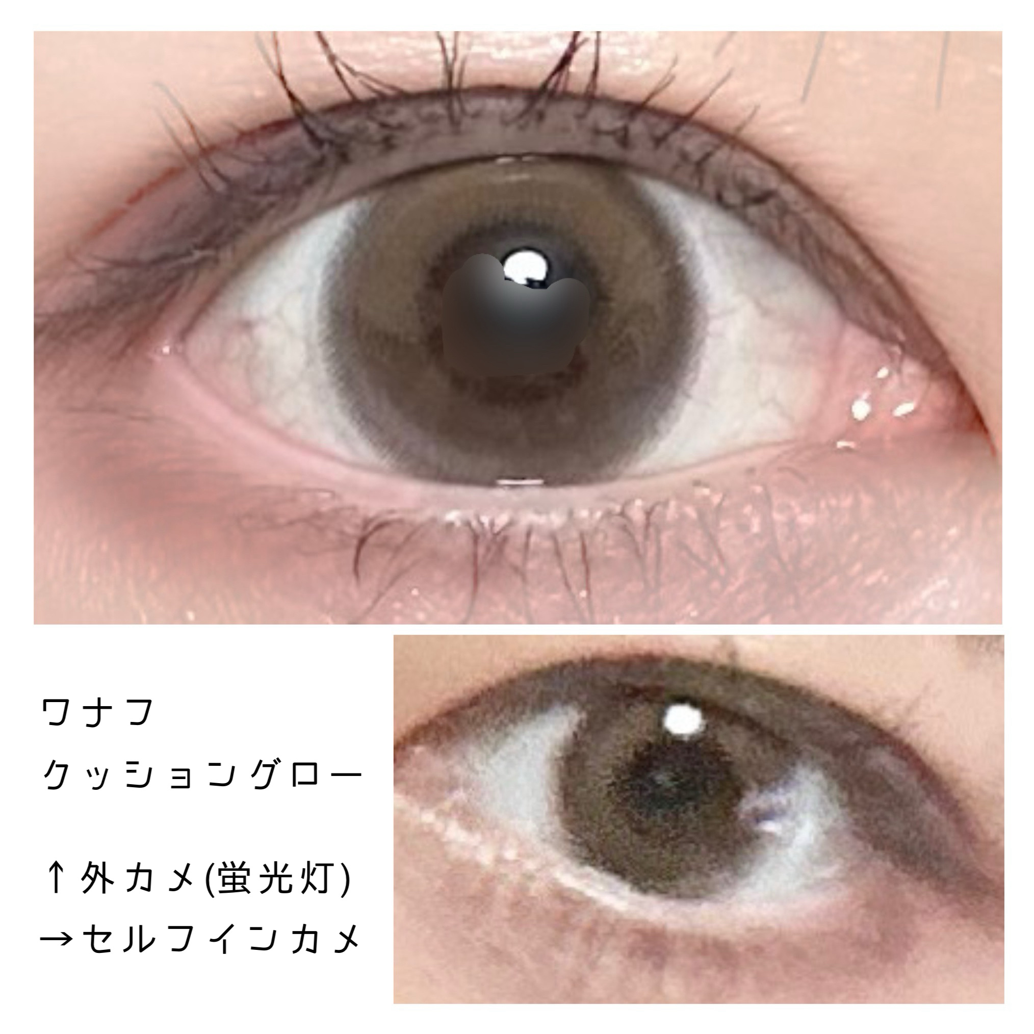 WANAF 1day クッショングロー(CUSHION GLOW)/WANAF/ワンデー（１DAY）カラコンを使ったクチコミ（1枚目）