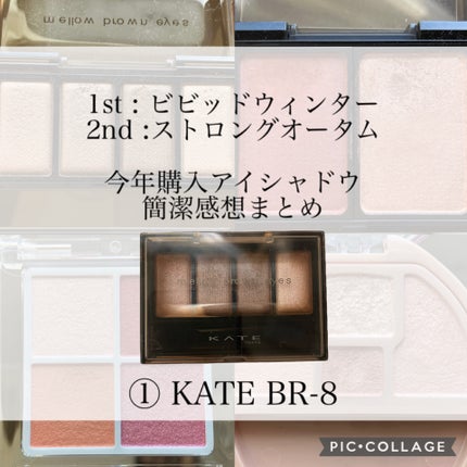 ケイト メロウブラウンアイズ/KATE/アイシャドウパレットを使ったクチコミ(1枚目)