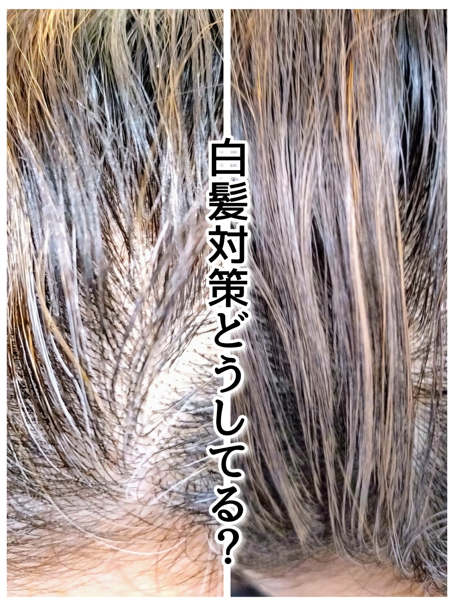 SS ビオリス ボタニカル うぶ毛メイク ヘアマスカラ/SSビオリス/その他スタイリングを使ったクチコミ（1枚目）