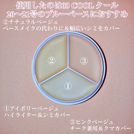 カバーアッププロコンシーラー/TFIT/パレットコンシーラーを使ったクチコミ(3枚目)