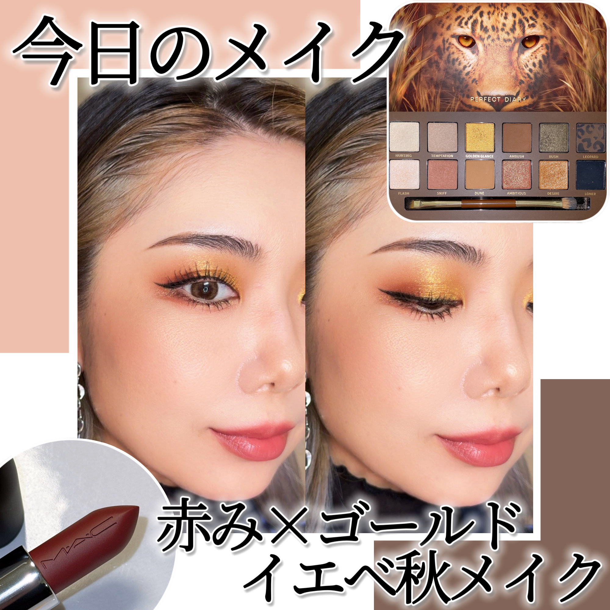 エクスプローラ12色 動物アイシャドウパレット/PERFECT DIARY/アイシャドウパレットを使ったクチコミ（1枚目）