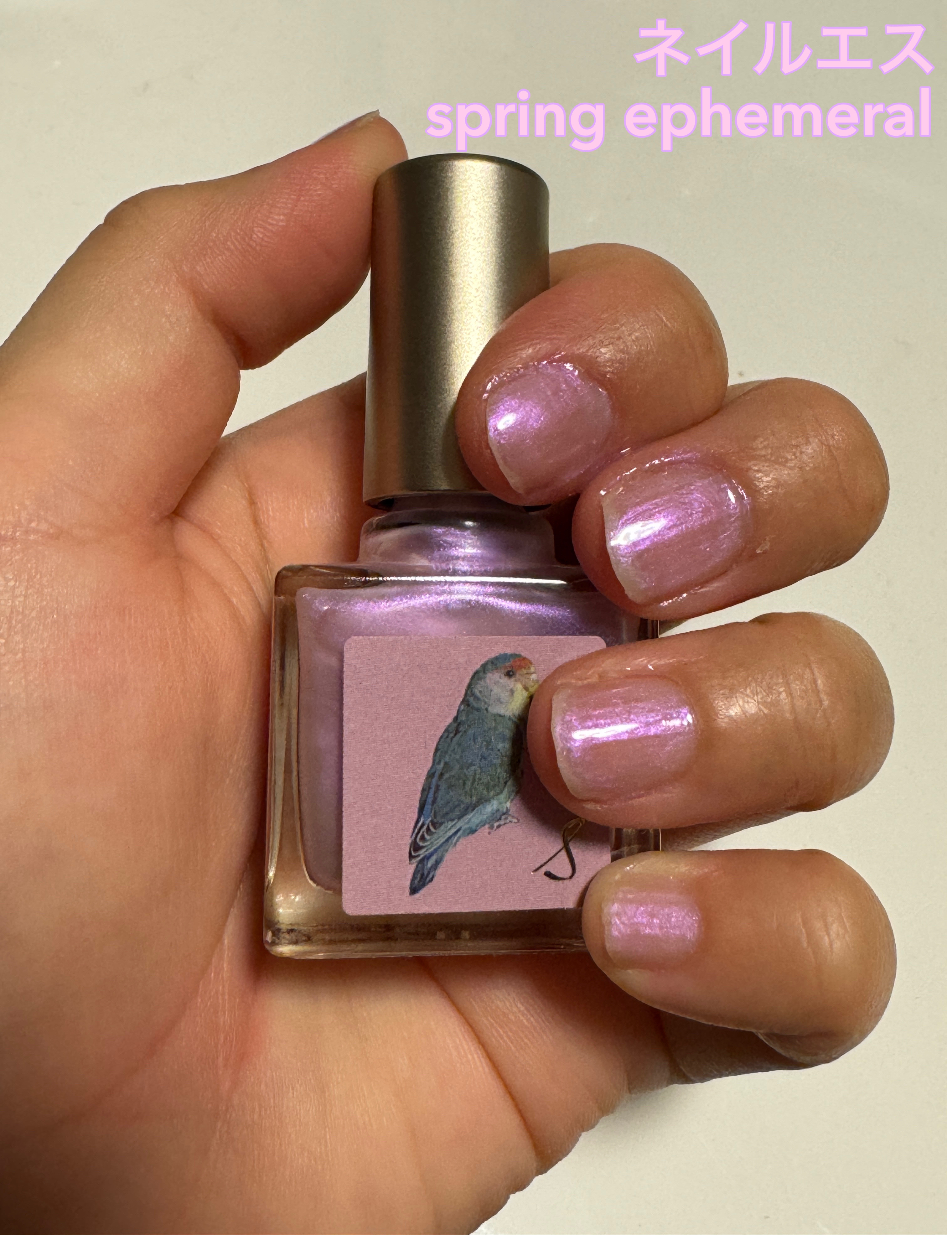 ネイルエス/ nail S(ネイルエス) /マニキュアを使ったクチコミ（1枚目）