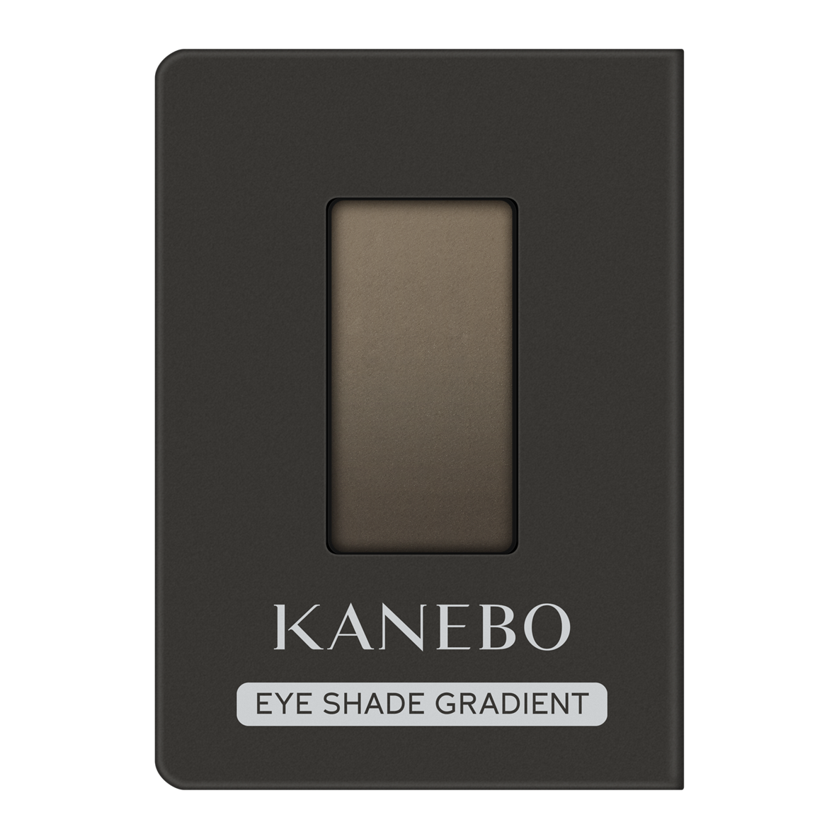 カネボウ アイシェイドグラディエント EG1 Cool Brown