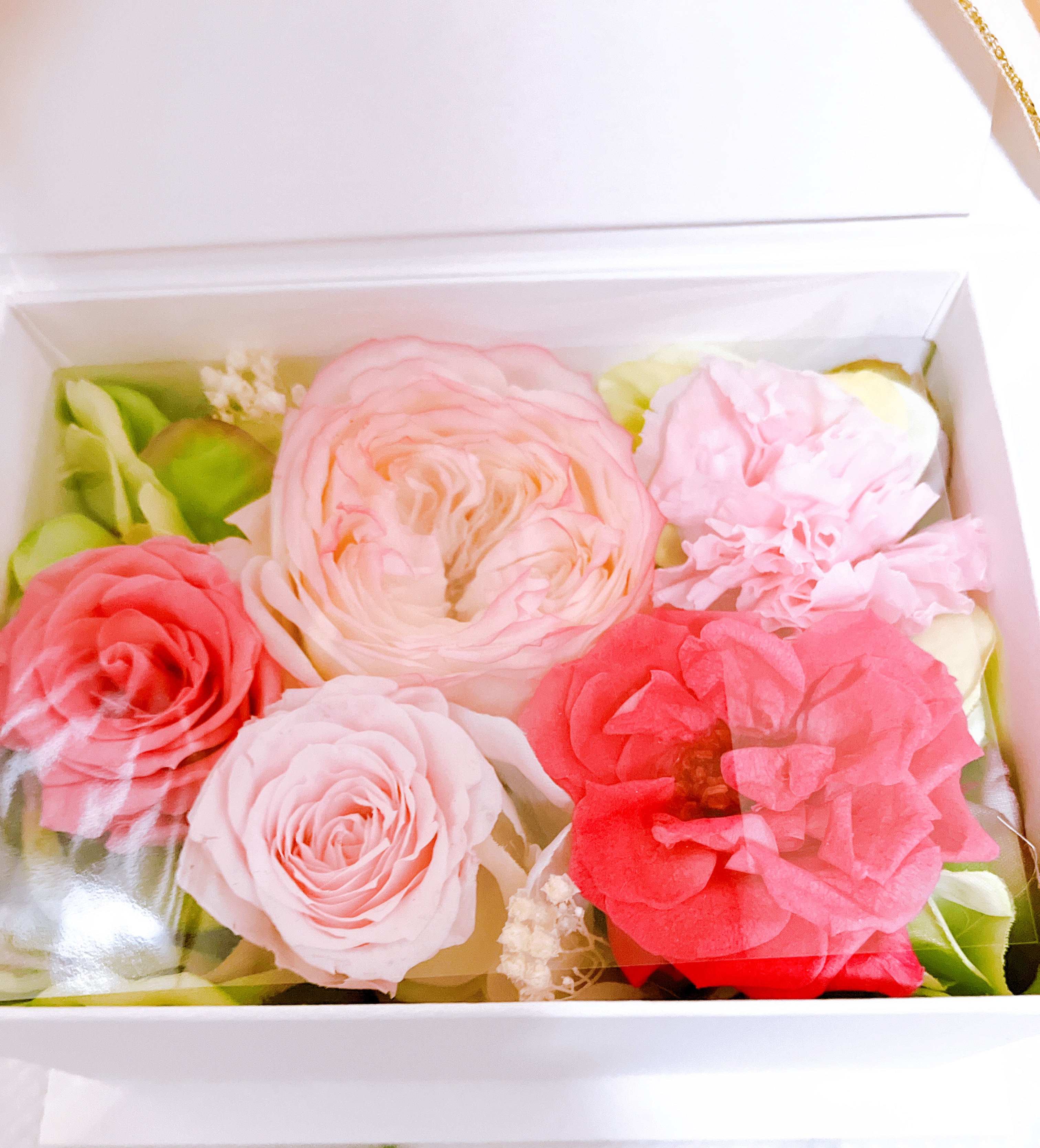 プレステージ ホワイト ル プロテクター ＵＶ ミネラル BB 00/Dior/BBクリームを使ったクチコミ（2枚目）