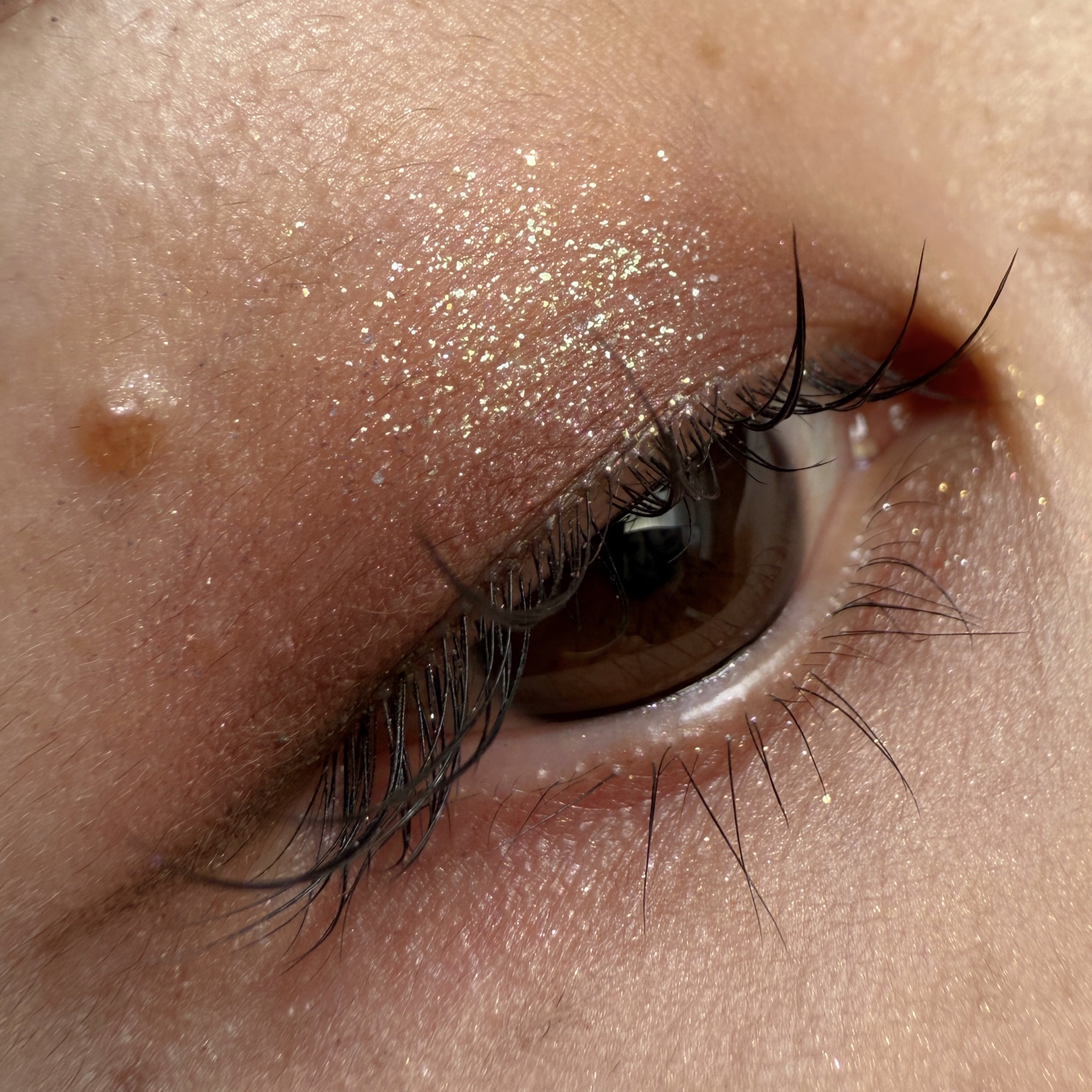 ライトオンアイズシャドウパレット/ルミル/アイシャドウパレットを使ったクチコミ（2枚目）