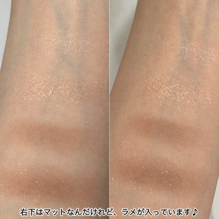 アイスカルプト/shu uemura/アイシャドウパレットを使ったクチコミ(6枚目)
