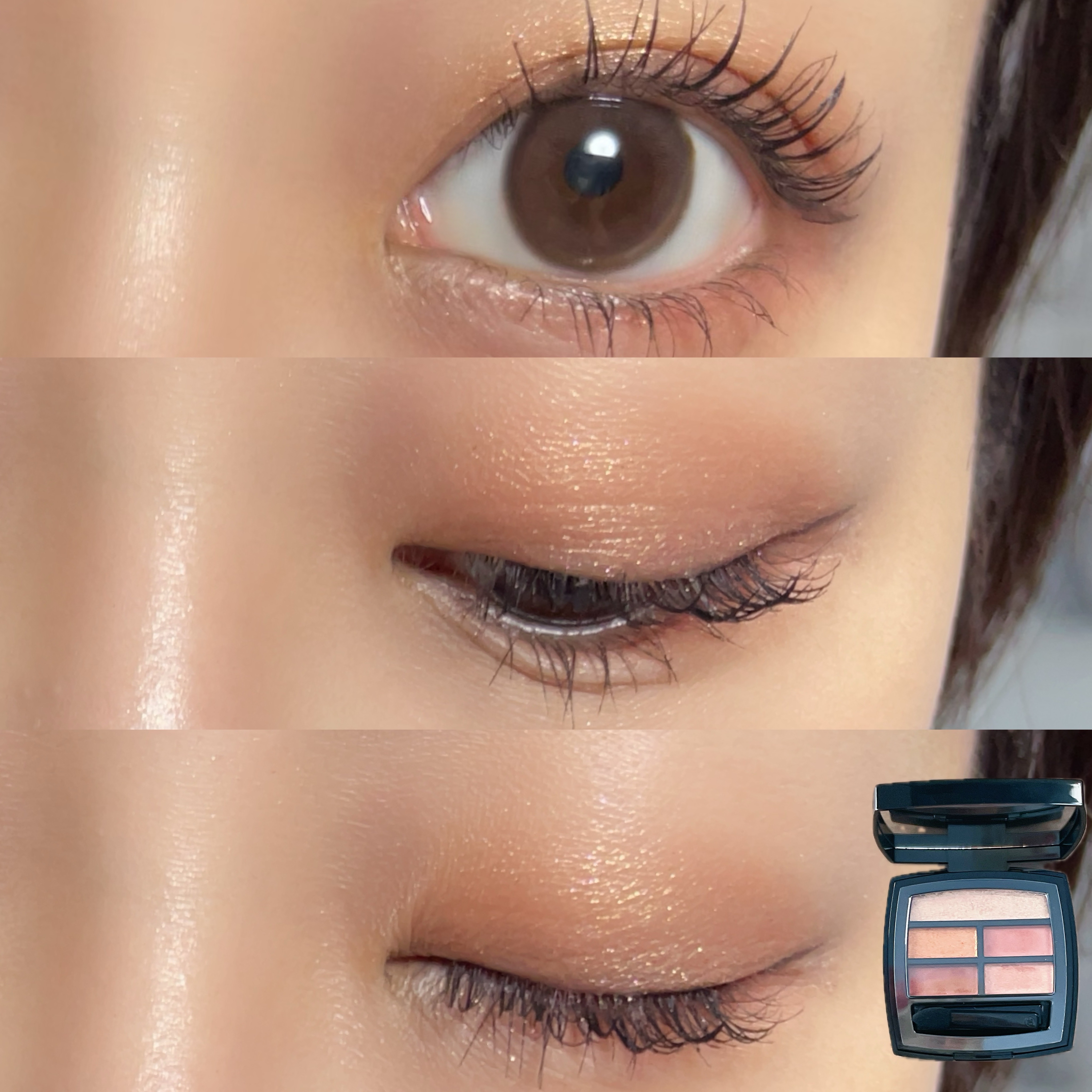 レ ベージュ パレット ルガール/CHANEL/アイシャドウパレットを使ったクチコミ（2枚目）