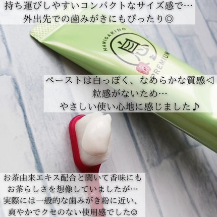 薬用フレッシュペースト【医薬部外品】/歯磨き堂/歯磨き粉を使ったクチコミ(3枚目)
