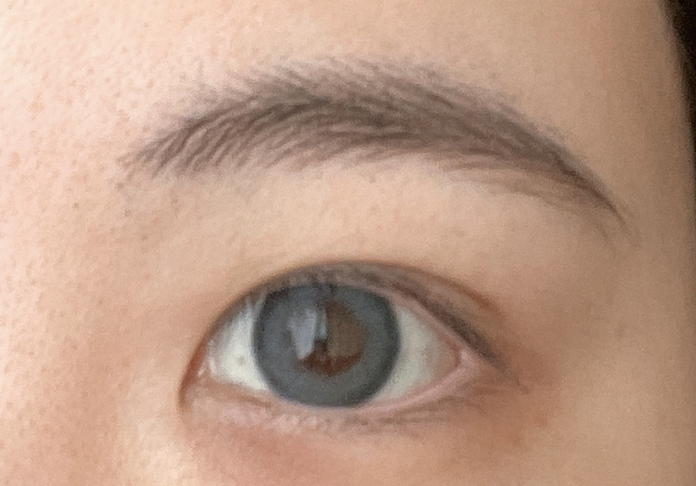 コンシーラーブロウマスカラ/キャンメイク/その他アイブロウを使ったクチコミ（2枚目）