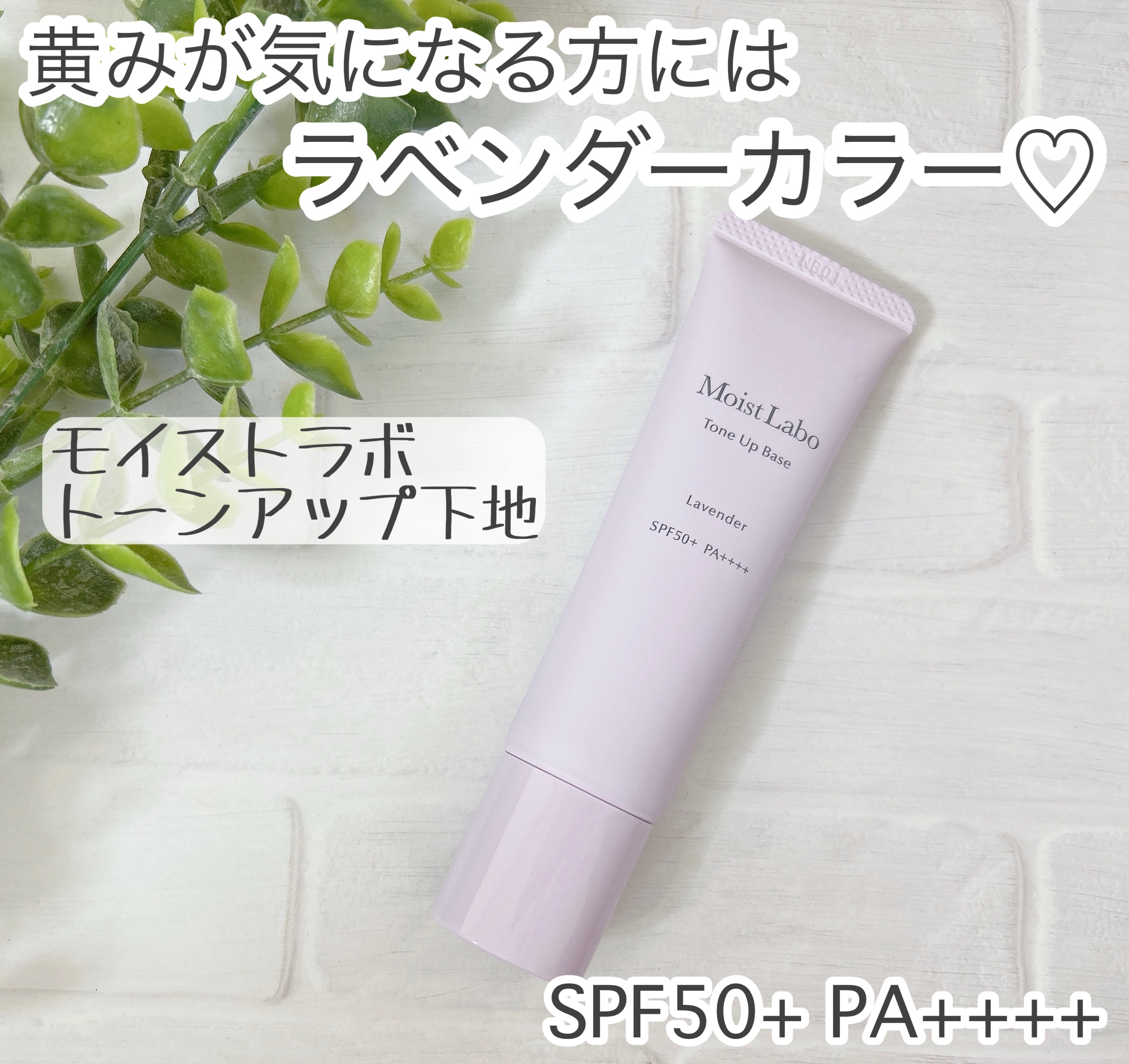 モイストラボ　トーンアップ下地/Moist Labo/化粧下地を使ったクチコミ（1枚目）