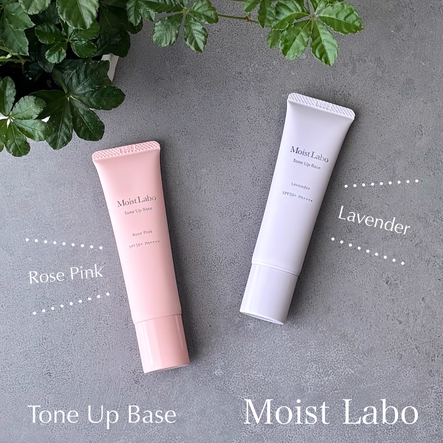 モイストラボ　トーンアップ下地/Moist Labo/化粧下地を使ったクチコミ（1枚目）