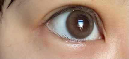 FLANMY 1day キャラメルパイ/FLANMY/ワンデー(1DAY)カラコンの画像