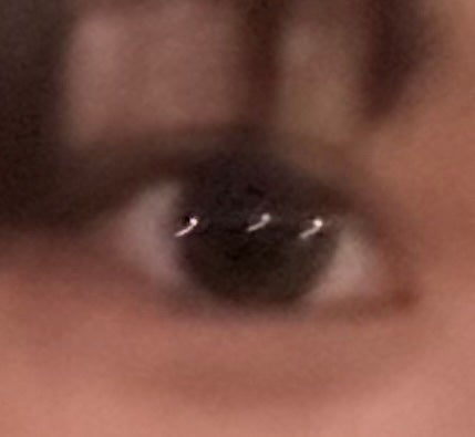 FLANMY 1day キャラメルパイ/FLANMY/ワンデー(1DAY)カラコンの画像