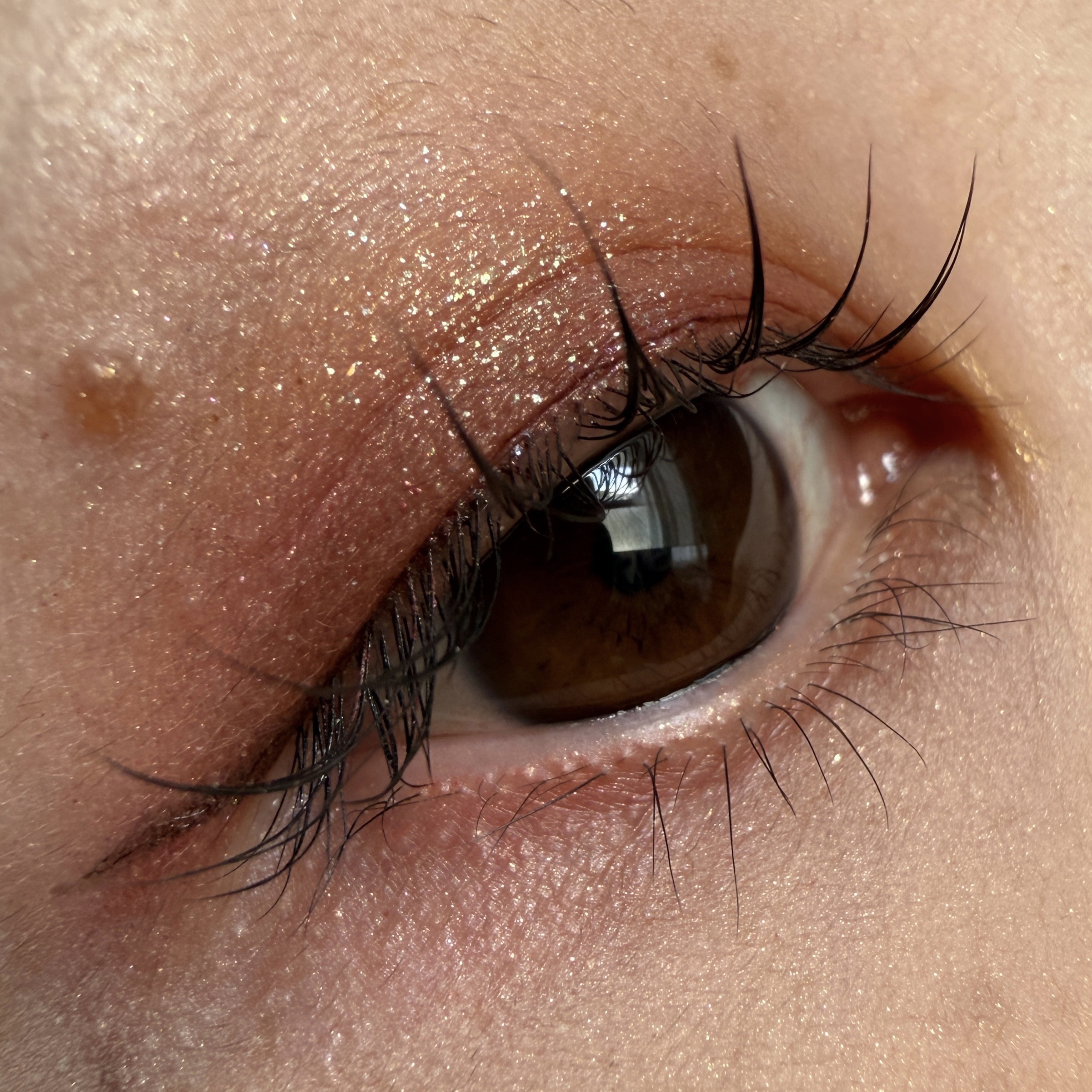 レ ベージュ パレット ルガール/CHANEL/アイシャドウパレットを使ったクチコミ（1枚目）