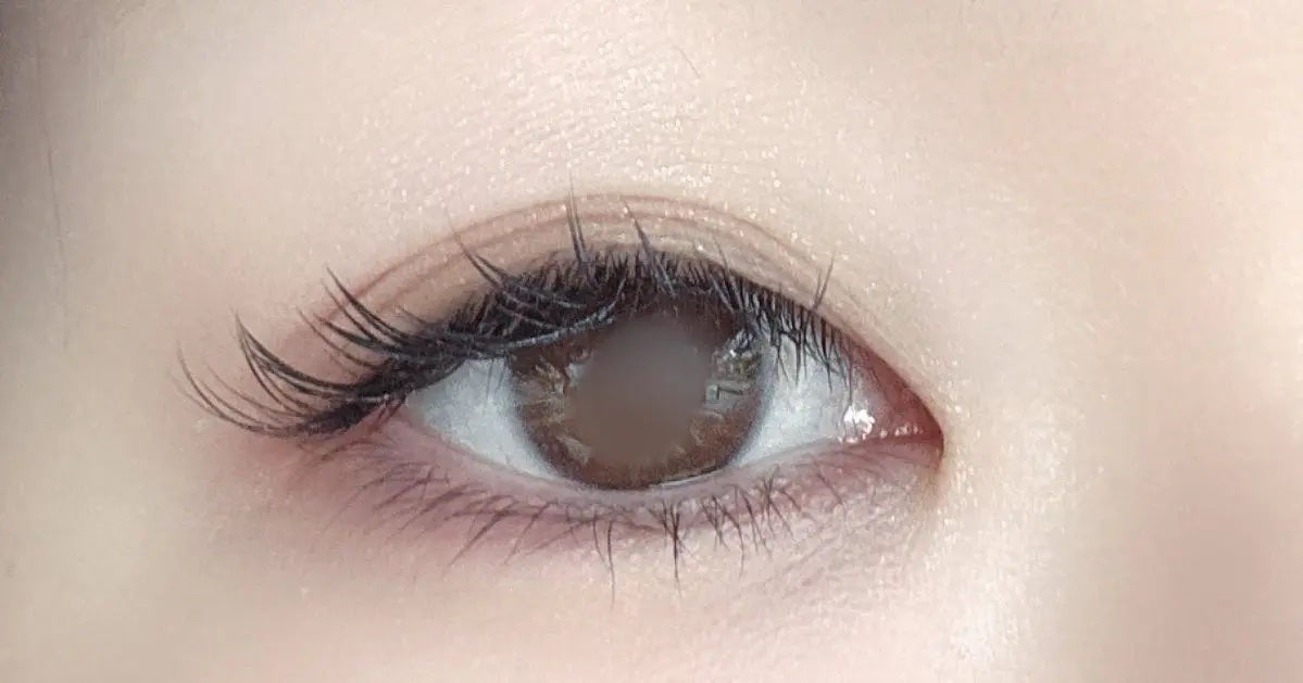 エレガンス エタンセル アルモニーアイズ/Elégance/アイシャドウパレットを使ったクチコミ(1枚目)