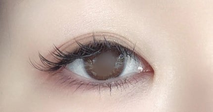 エレガンス エタンセル アルモニーアイズ/Elégance/アイシャドウパレットを使ったクチコミ(1枚目)