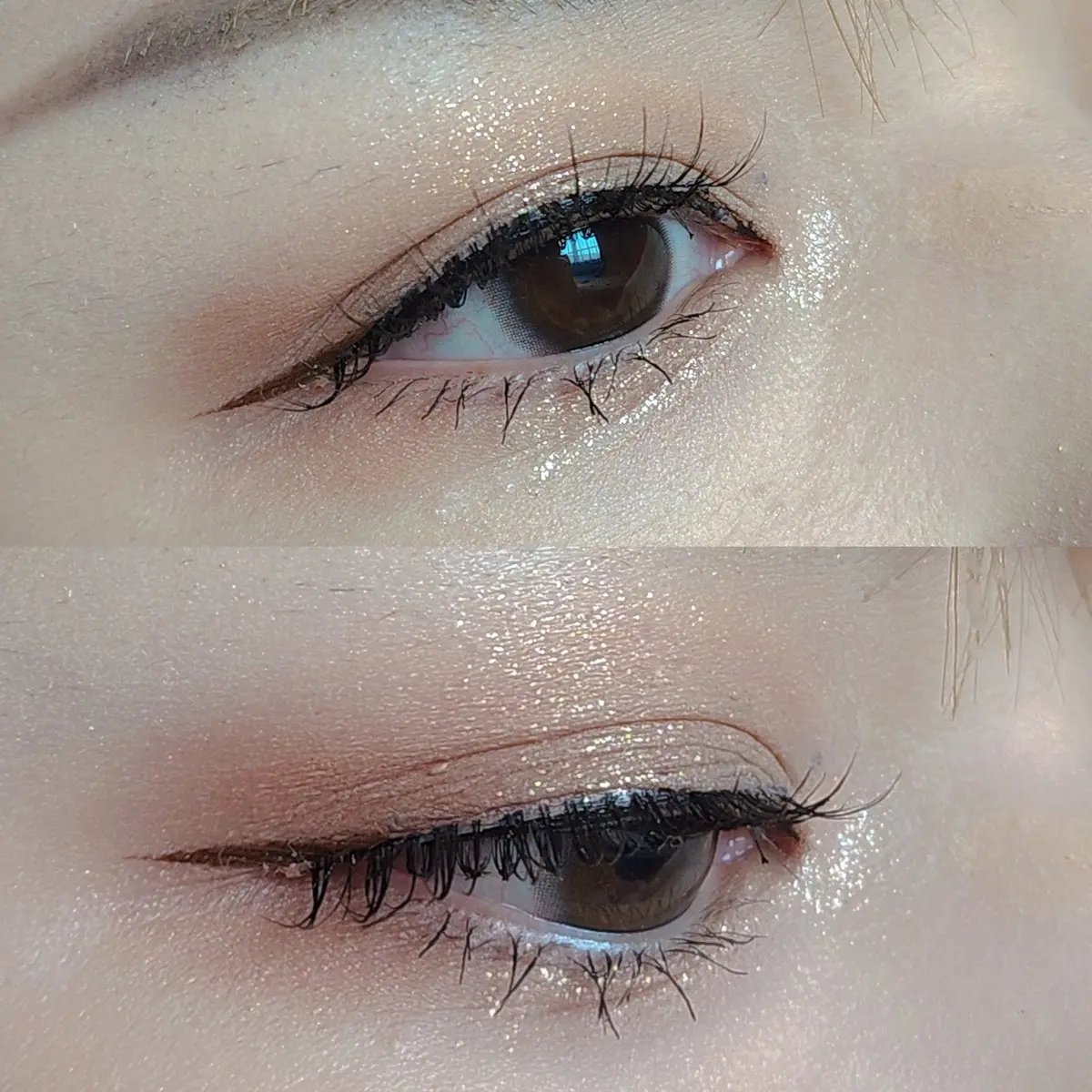 ミッシュブルーミン/DAISO/つけまつげを使ったクチコミ（1枚目）